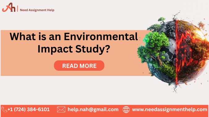 What is an Environmental Impact Study?